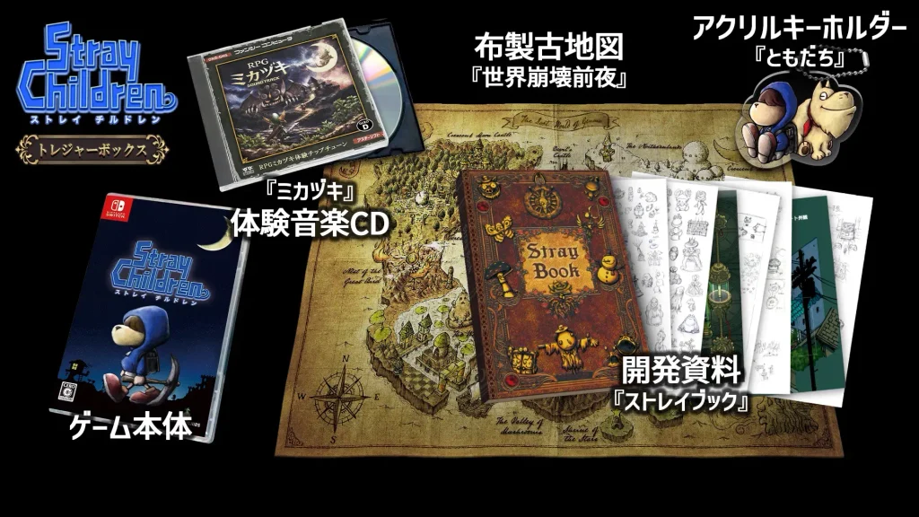 Stray Children Collector's Edition Switch